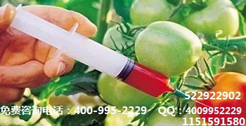 小肠癌的治疗